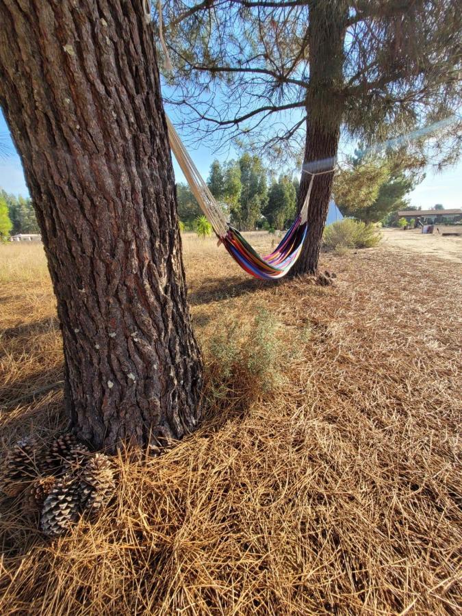 מלון Grândola Goodmuda Tipi'S מראה חיצוני תמונה
